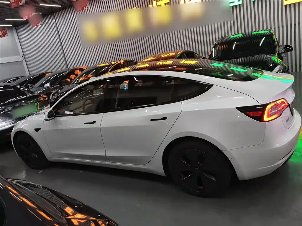 Tesla Model 3 2021 из CN, фото 5