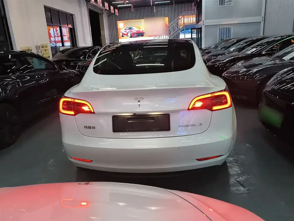 Tesla Model 3 2021 из CN, фото 6
