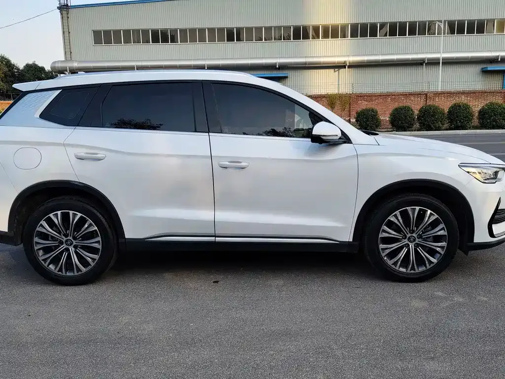 BYD Pro New Energy 2023 из CN, фото 4