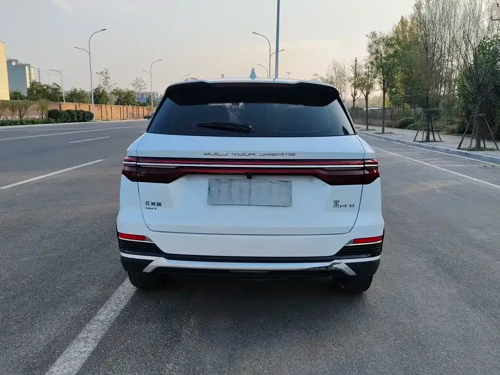 BYD Pro New Energy 2023 из CN, фото 6