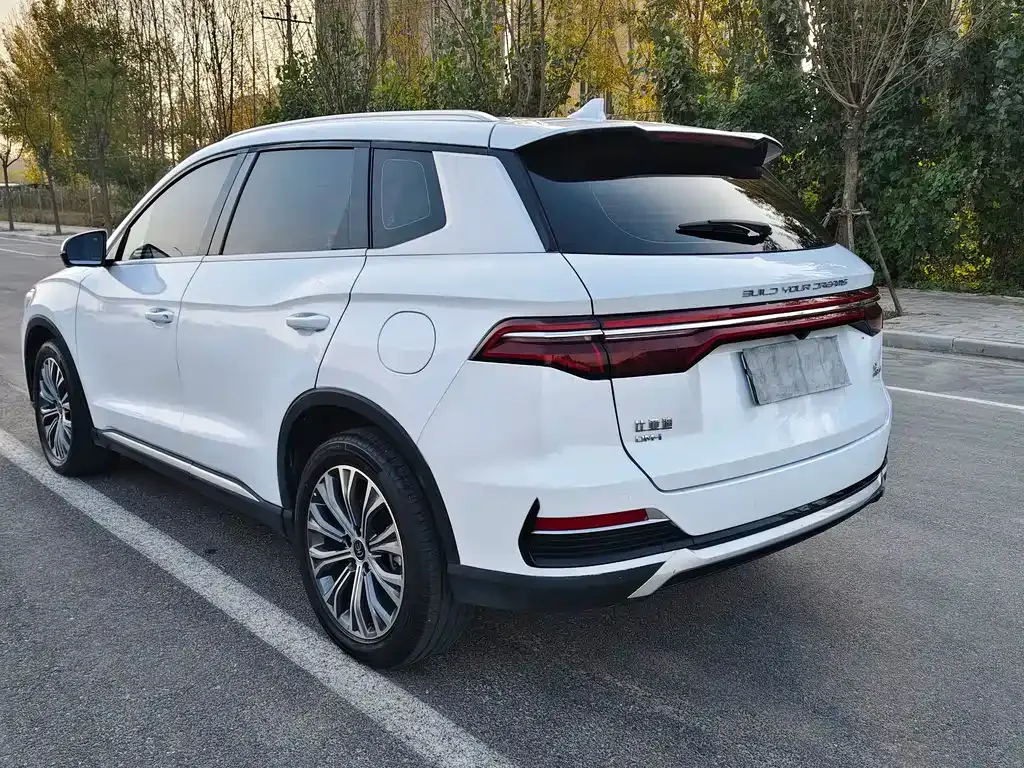 BYD Pro New Energy 2023 из CN, фото 7