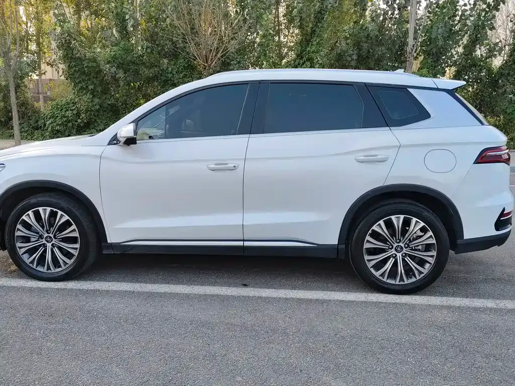 BYD Pro New Energy 2023 из CN, фото 8