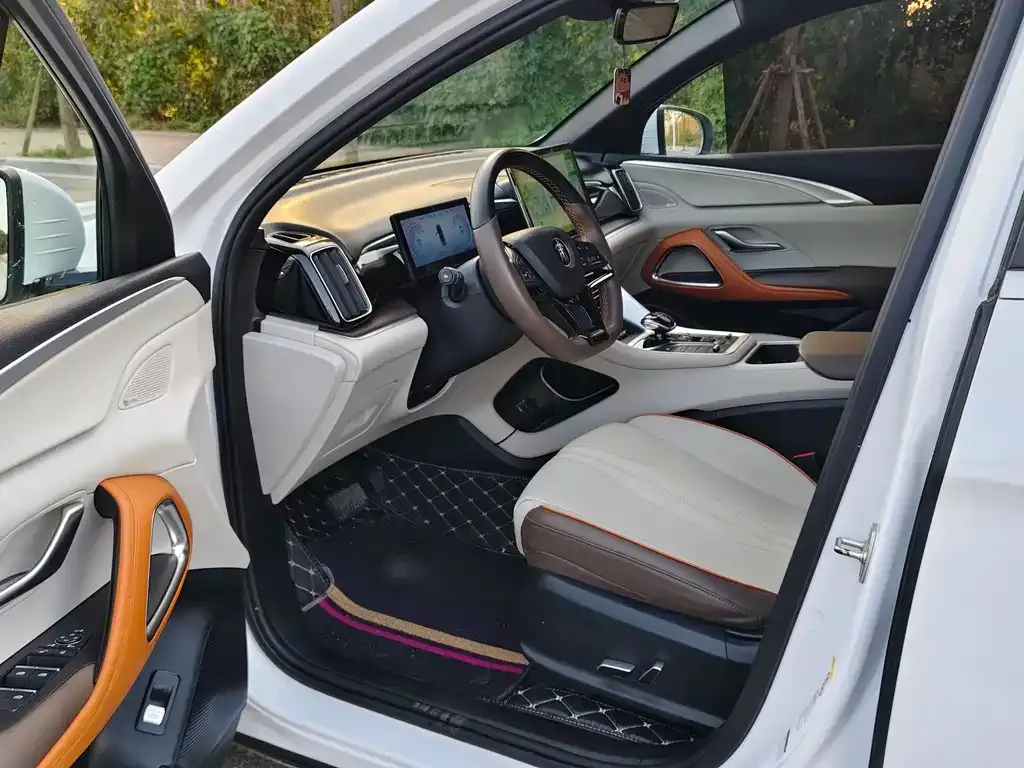 BYD Pro New Energy 2023 из CN, фото 9