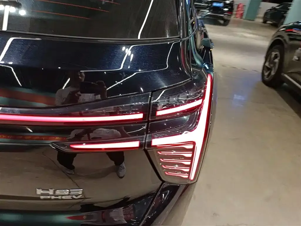 Hongqi HS3 PHEV 2024 из CN, фото 8