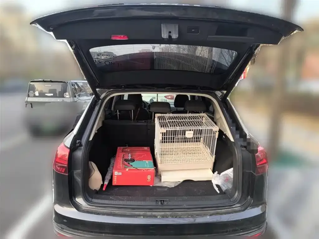 Volkswagen Tayron 2021 из CN, фото 10