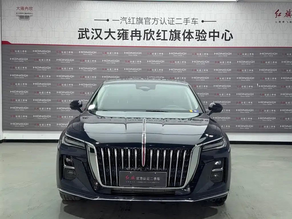 Hongqi H5 2024 из CN, фото 2