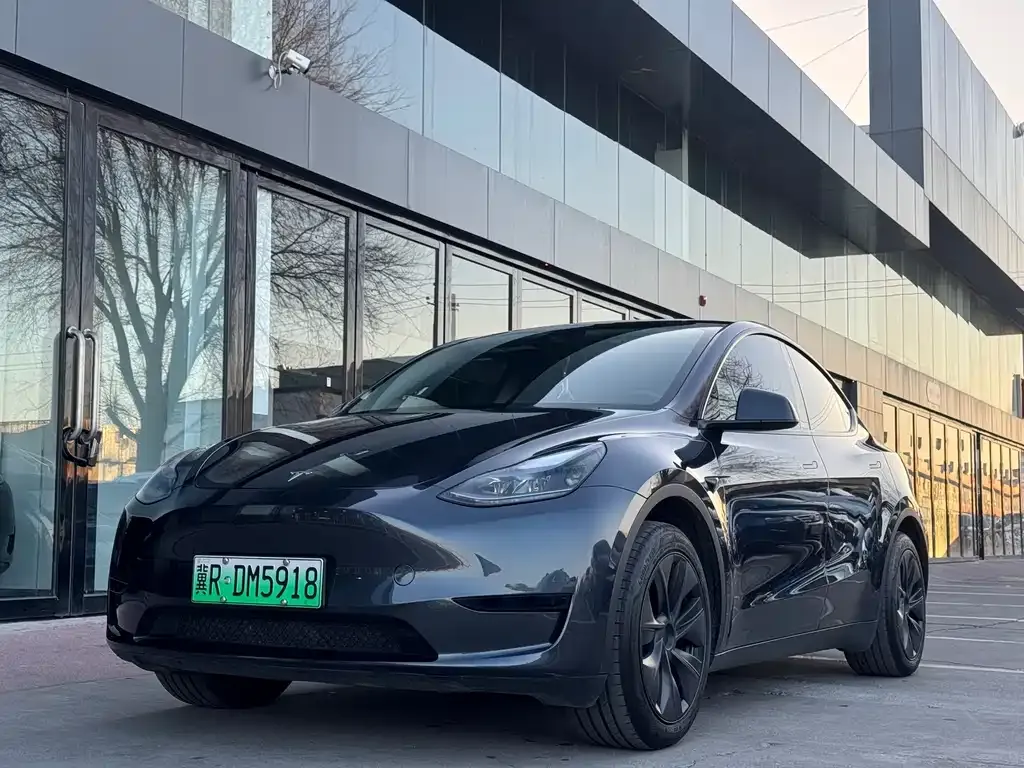 Tesla Model Y 2024 из CN, фото 1