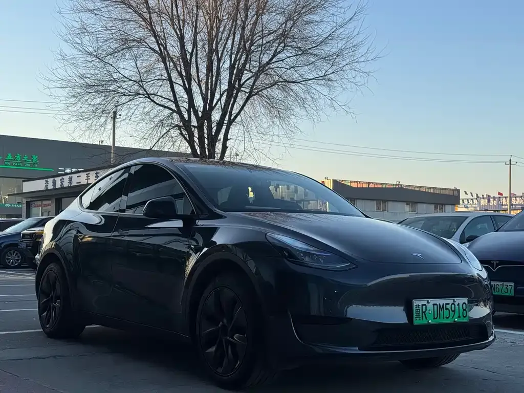Tesla Model Y 2024 из CN, фото 3