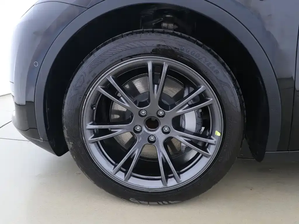 Tesla Model Y 2023 из CN, фото 6