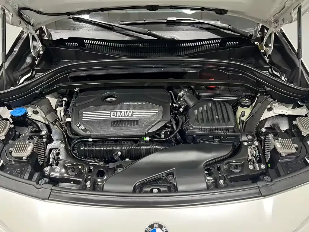 BMW X2 2024 из CN, фото 10