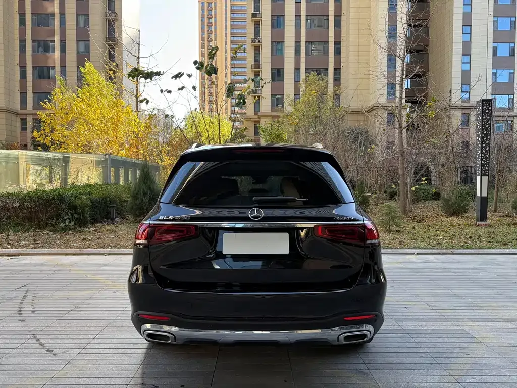 Mercedes-Benz GLS 2023 из CN, фото 6