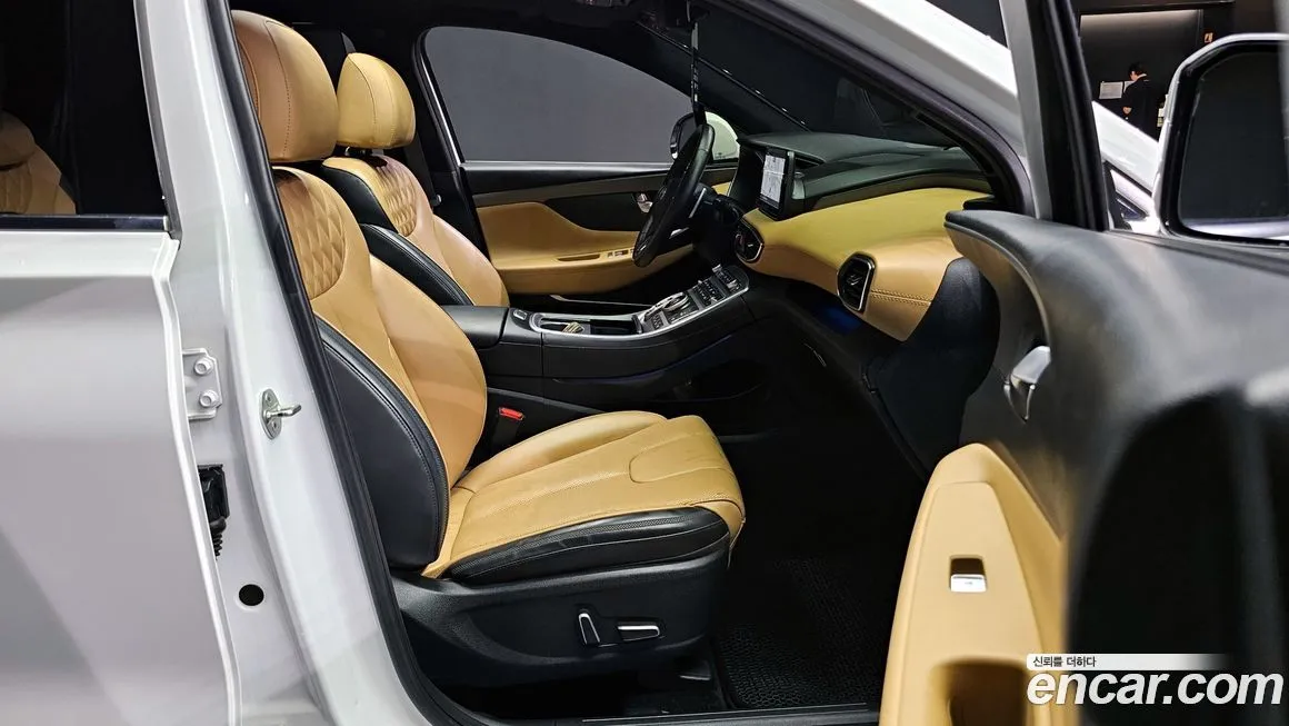Hyundai Santafe 2021 из KR, фото 10