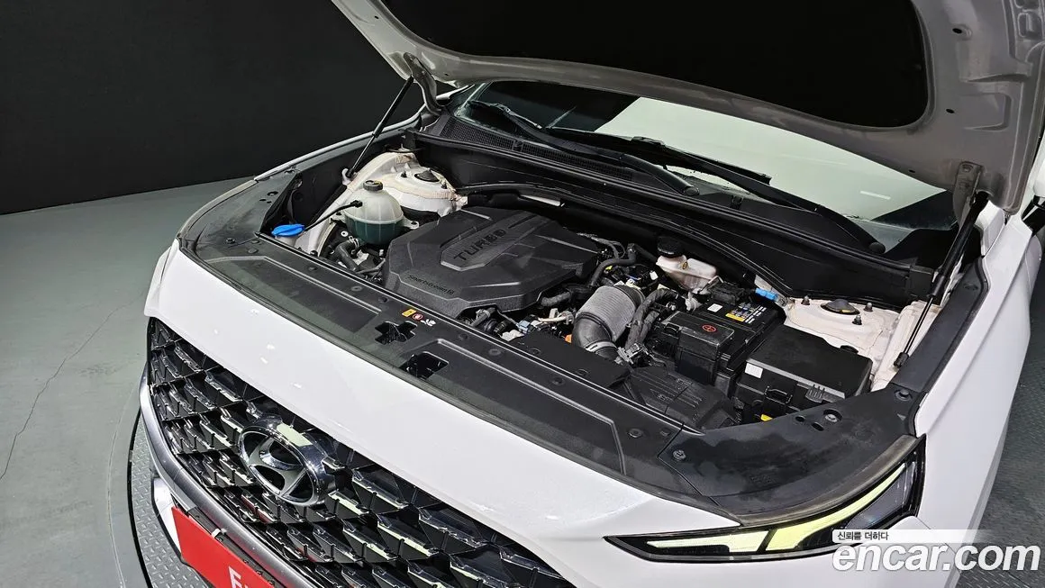 Hyundai Santafe 2021 из KR, фото 6
