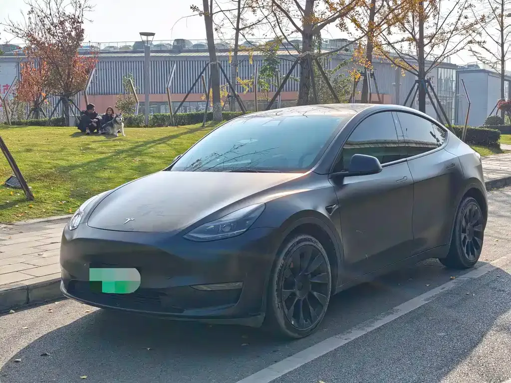 Tesla Model Y 2021 из CN, фото 1