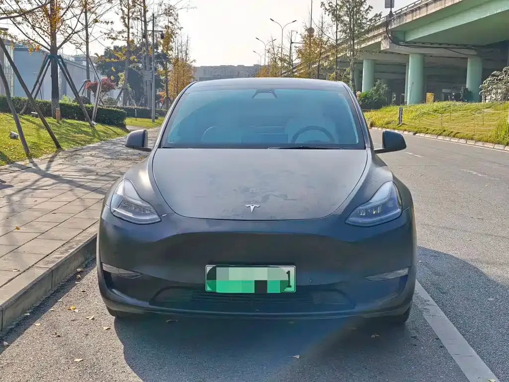 Tesla Model Y 2021 из CN, фото 2