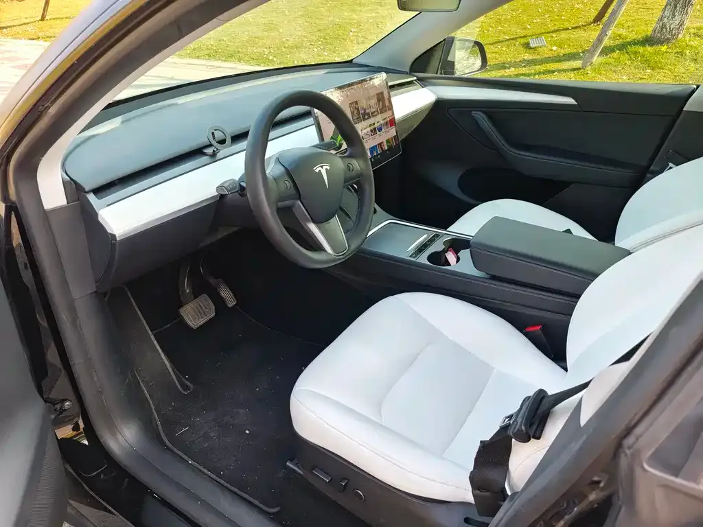 Tesla Model Y 2021 из CN, фото 3