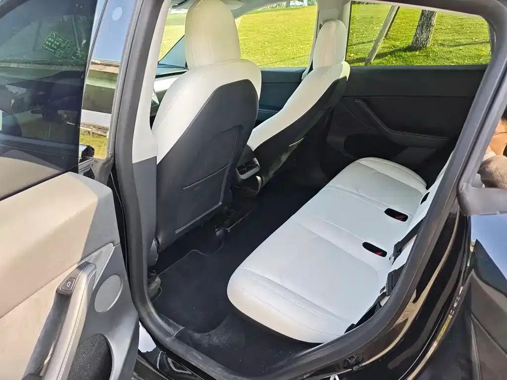 Tesla Model Y 2021 из CN, фото 4