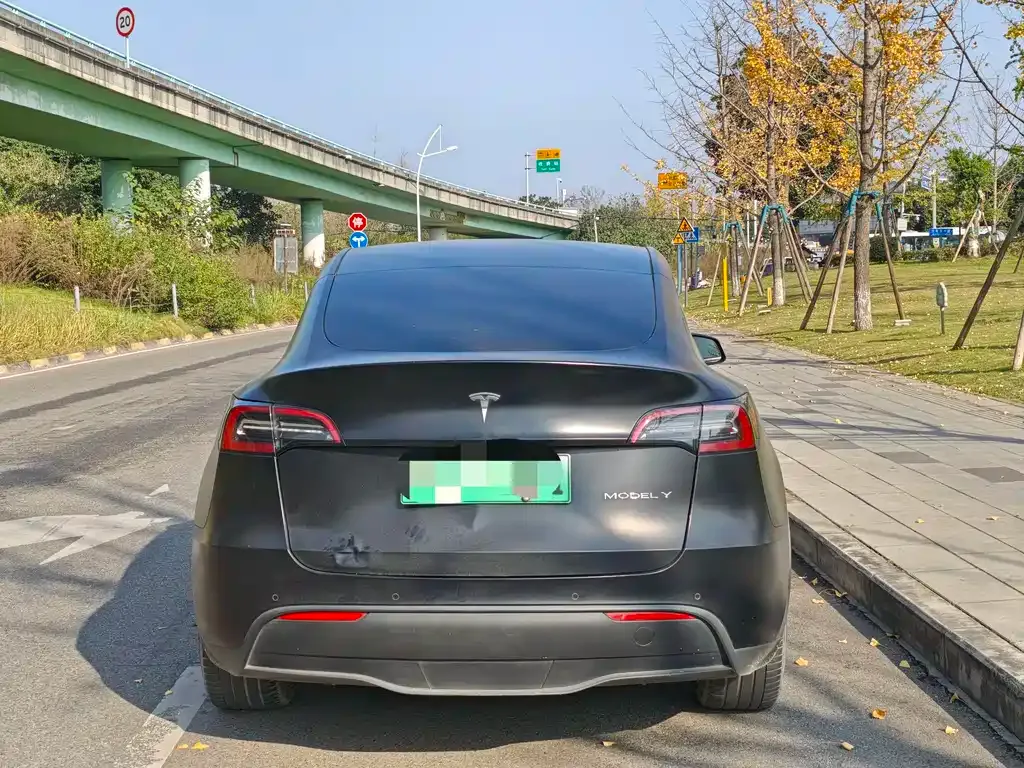 Tesla Model Y 2021 из CN, фото 5