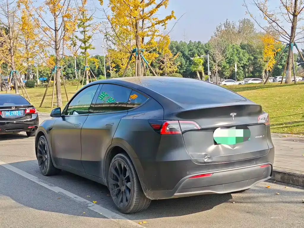 Tesla Model Y 2021 из CN, фото 6