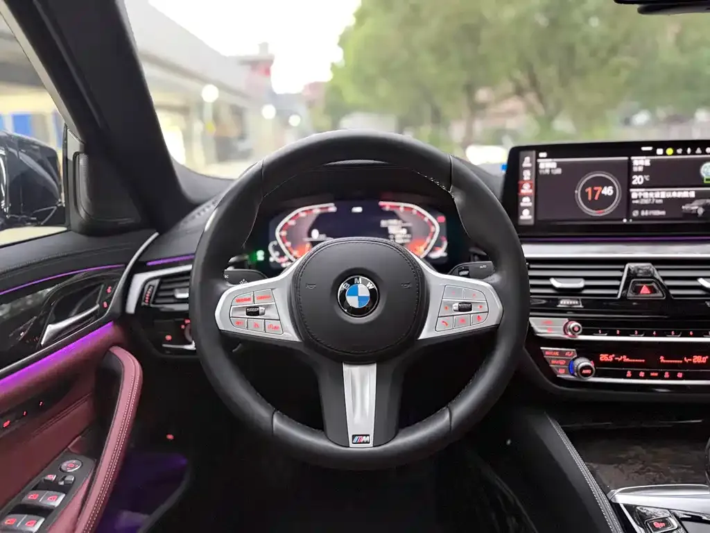 BMW 5 Series 2023 из CN, фото 10