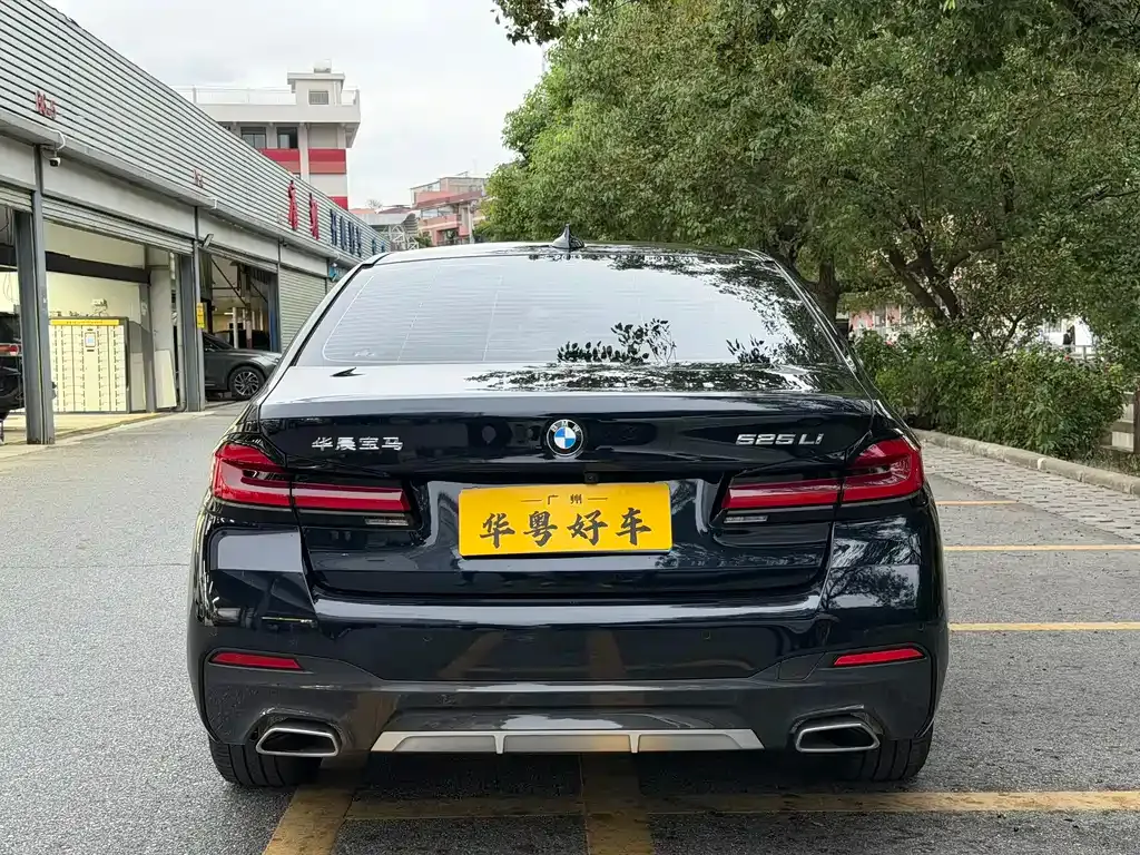 BMW 5 Series 2023 из CN, фото 3