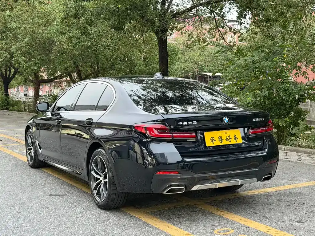 BMW 5 Series 2023 из CN, фото 4