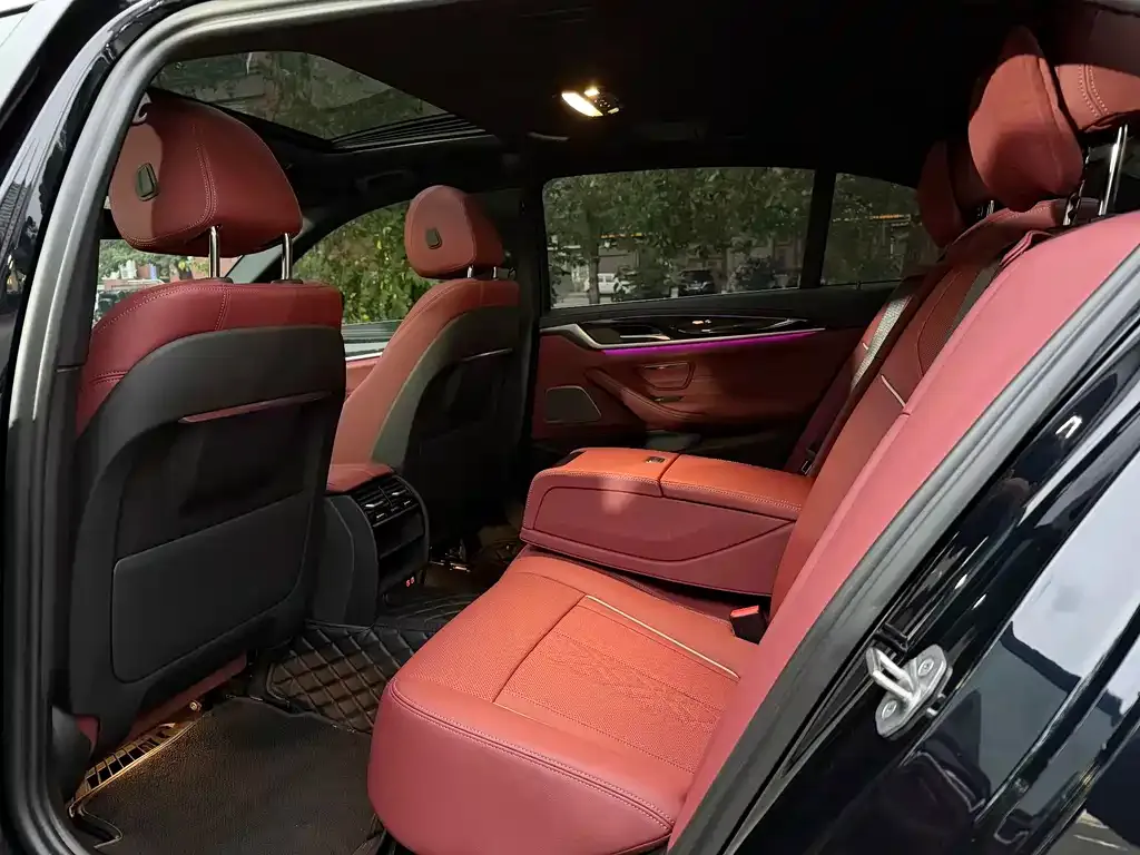 BMW 5 Series 2023 из CN, фото 6