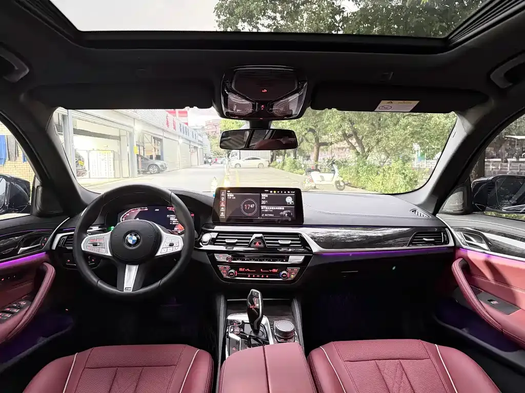 BMW 5 Series 2023 из CN, фото 9