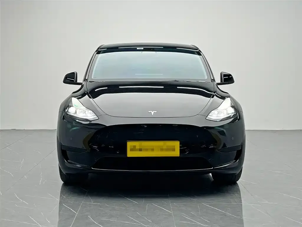 Tesla Model Y 2023 из CN, фото 2