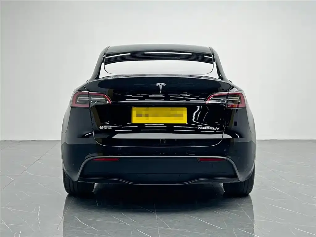 Tesla Model Y 2023 из CN, фото 5
