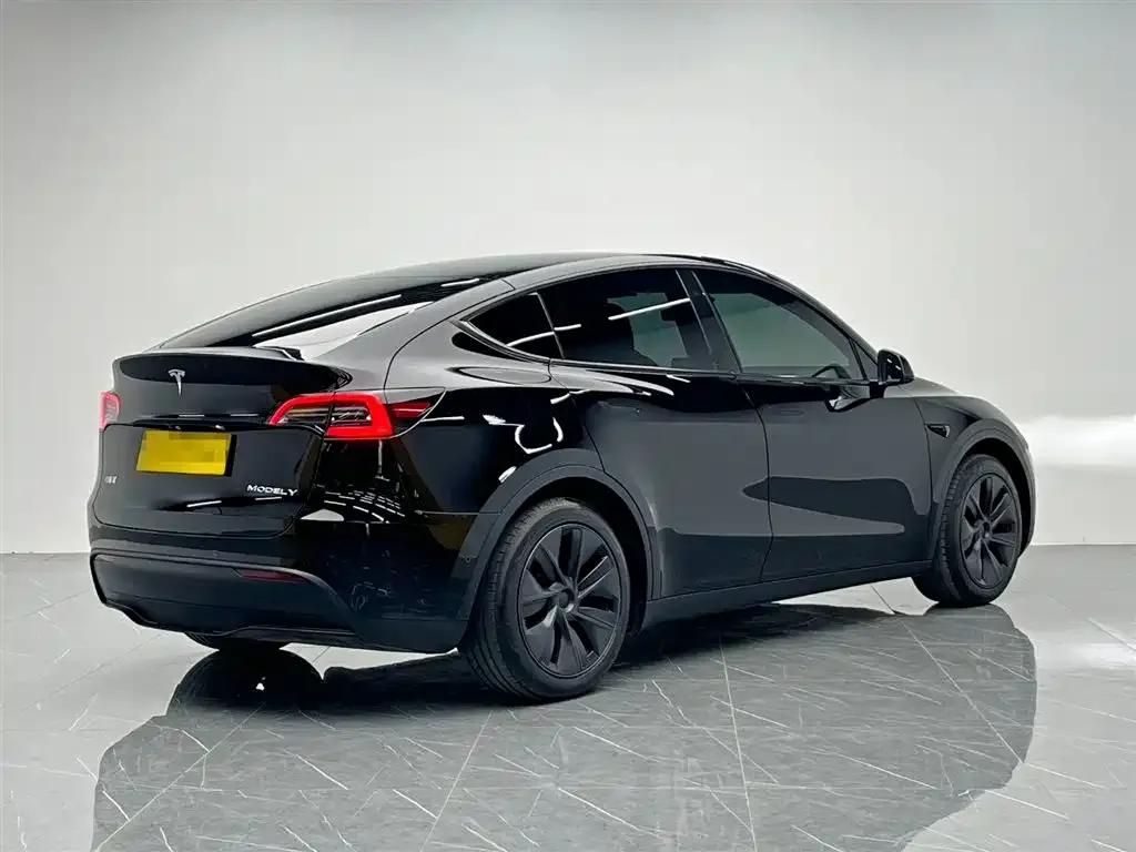 Tesla Model Y 2023 из CN, фото 6