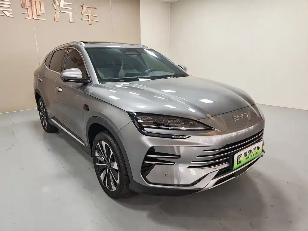 BYD PLUS New Energy 2025 из CN, фото 3