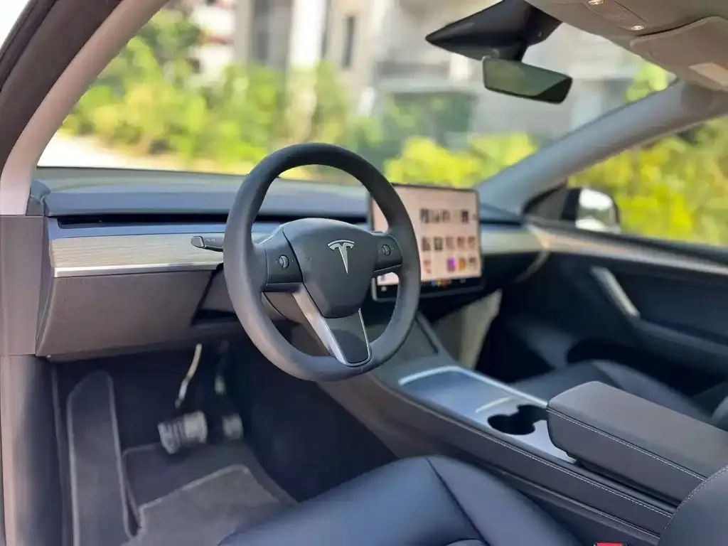 Tesla Model 3 2021 из CN, фото 3