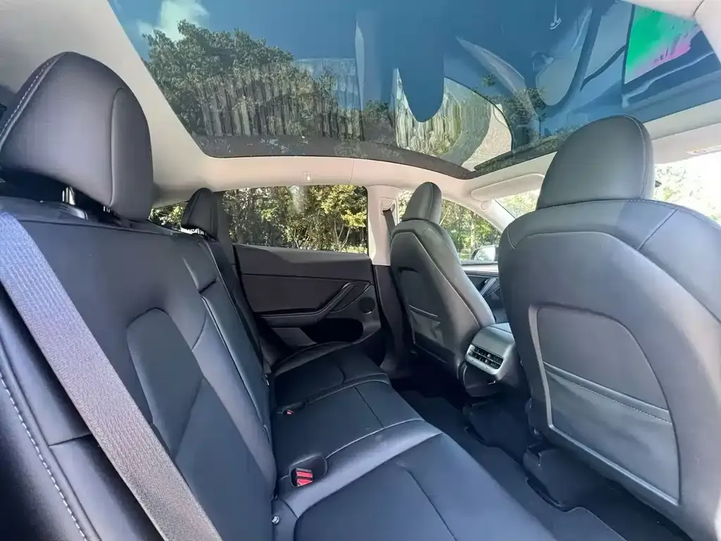 Tesla Model 3 2021 из CN, фото 4