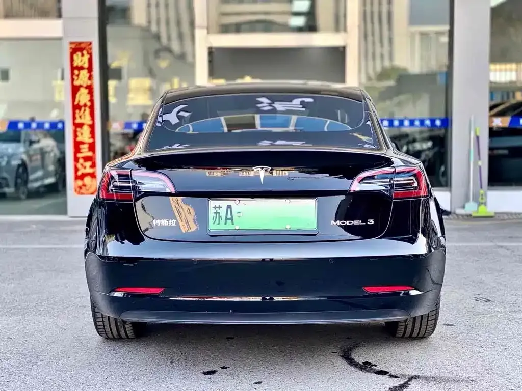 Tesla Model 3 2021 из CN, фото 6