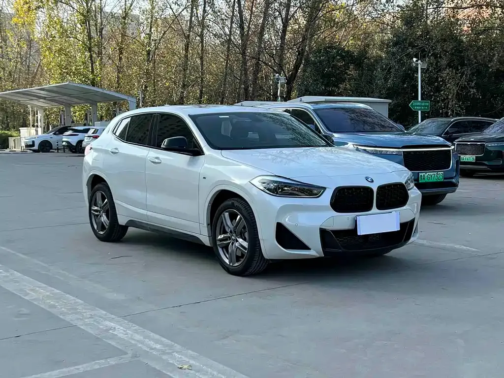 BMW X2 2023 из CN, фото 2