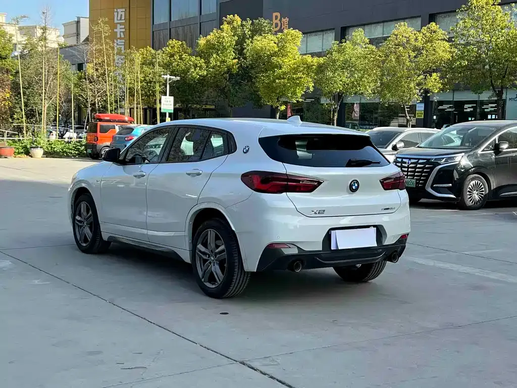 BMW X2 2023 из CN, фото 5