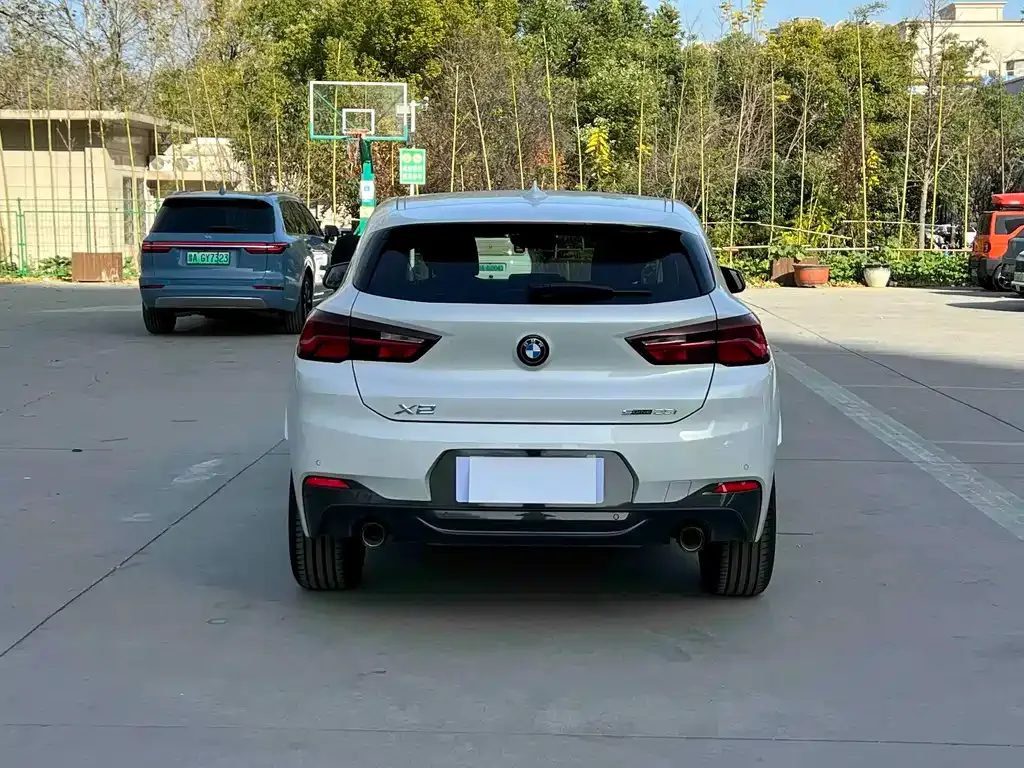 BMW X2 2023 из CN, фото 6