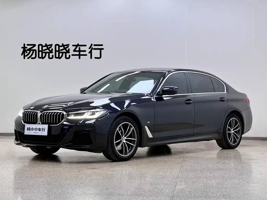BMW 5 Series 2023 из CN, фото 1