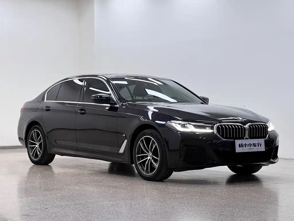 BMW 5 Series 2023 из CN, фото 3