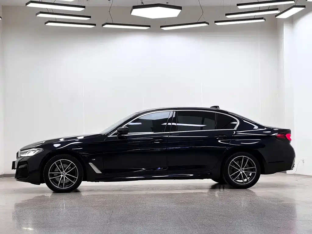 BMW 5 Series 2023 из CN, фото 4