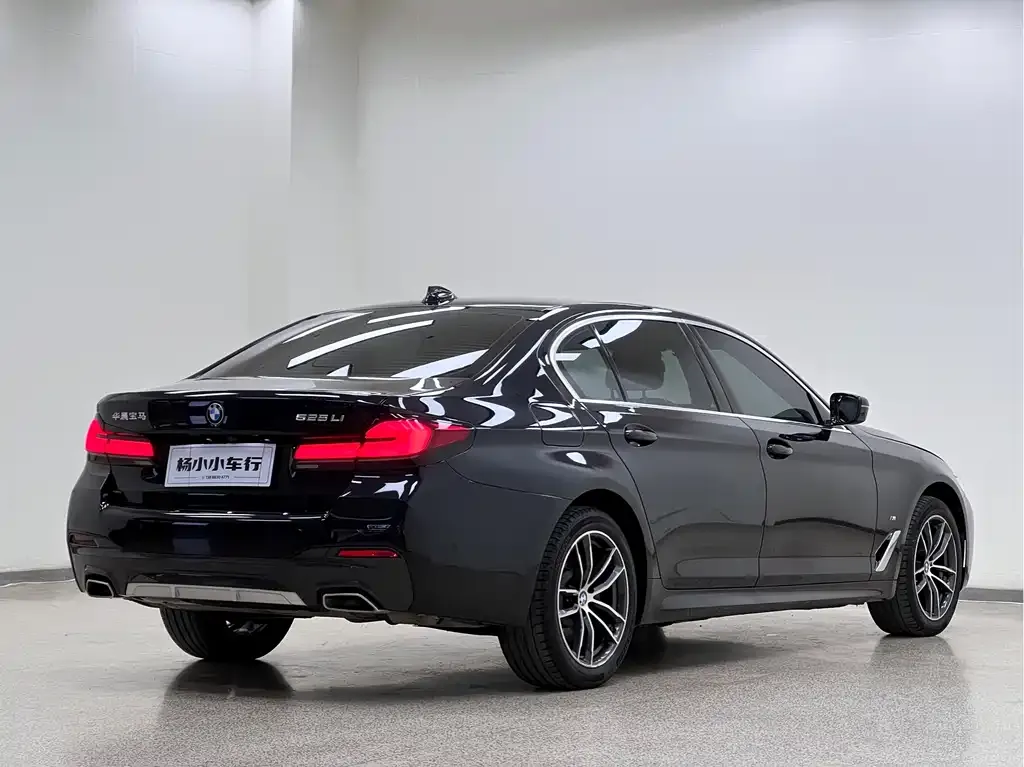 BMW 5 Series 2023 из CN, фото 5