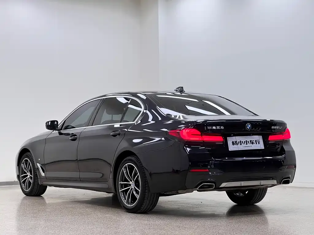 BMW 5 Series 2023 из CN, фото 7