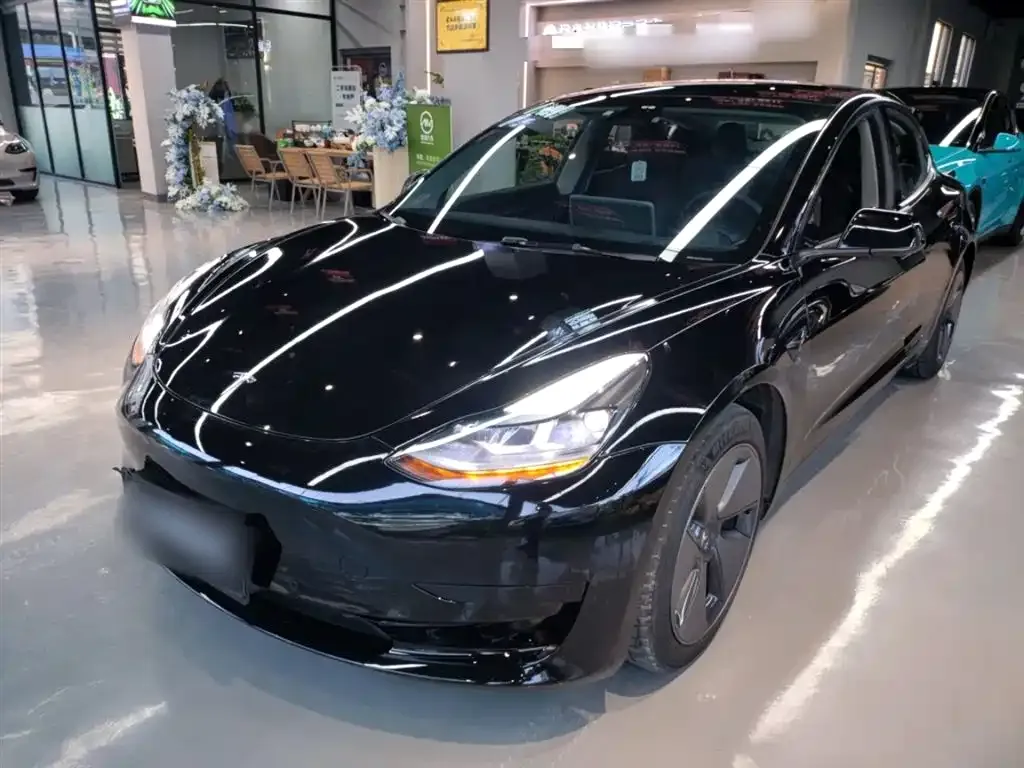 Tesla Model 3 2022 из CN, фото 2