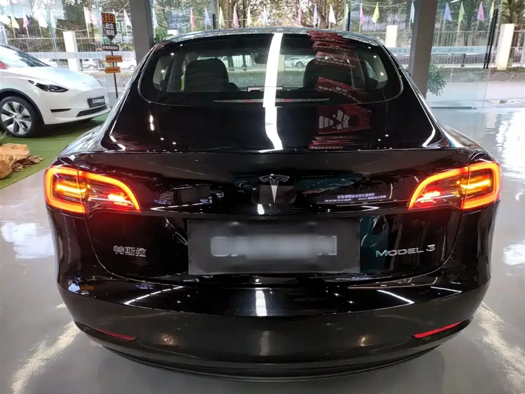 Tesla Model 3 2022 из CN, фото 6