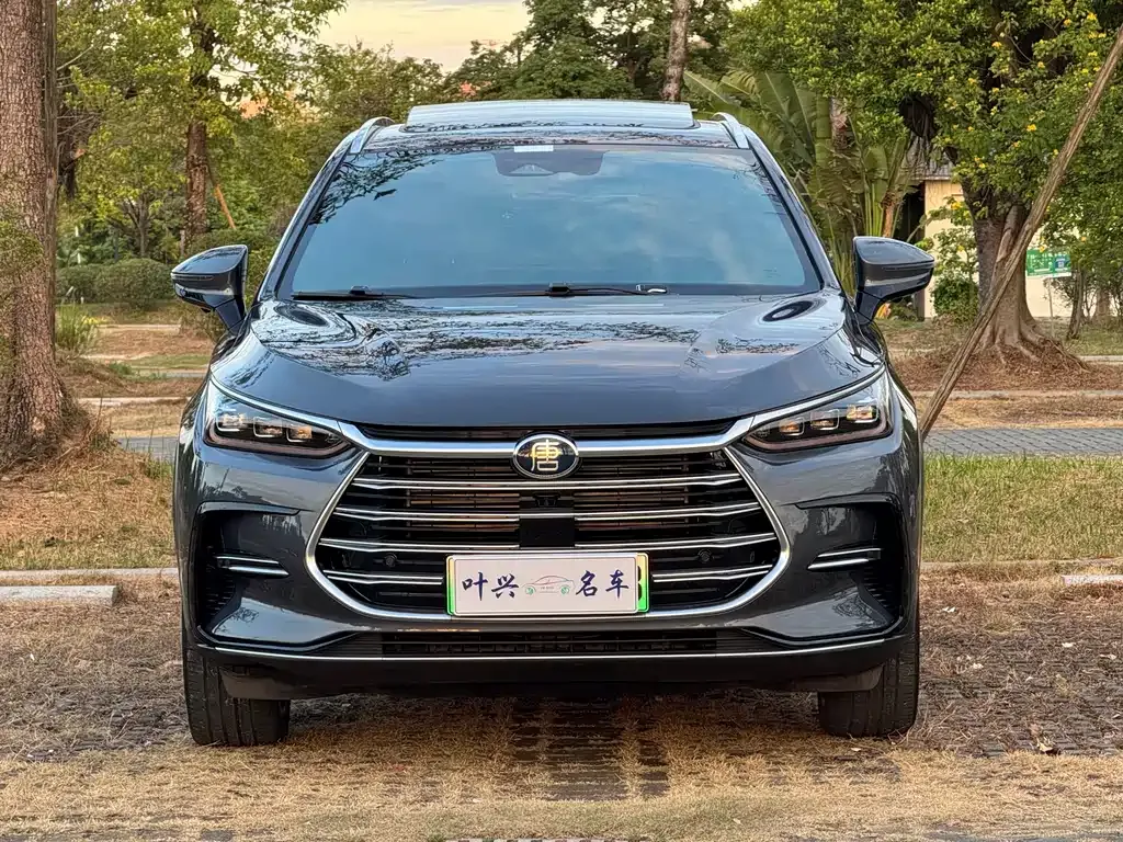 BYD Tang New Energy 2022 из CN, фото 2