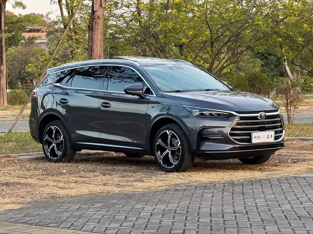 BYD Tang New Energy 2022 из CN, фото 3