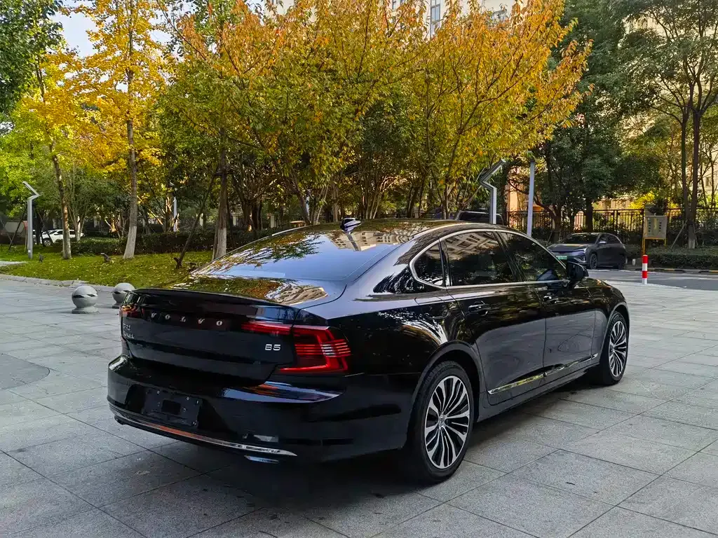 Volvo S90 2024 из CN, фото 7