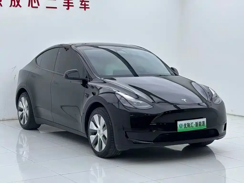 Tesla Model Y — фото 2