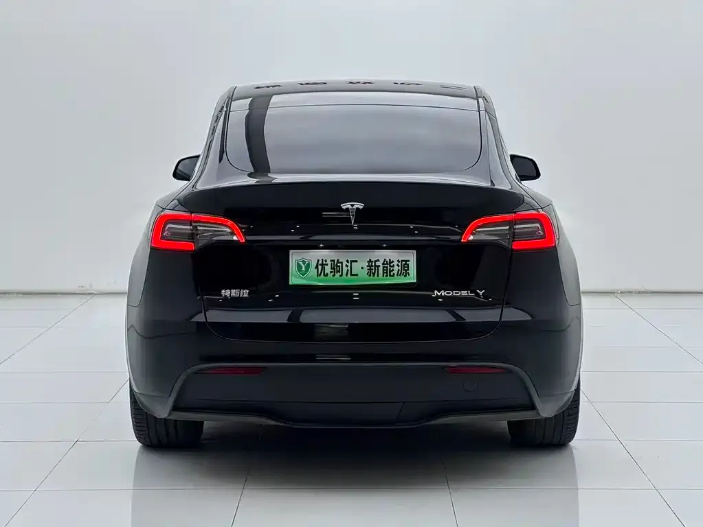 Tesla Model Y — фото 4